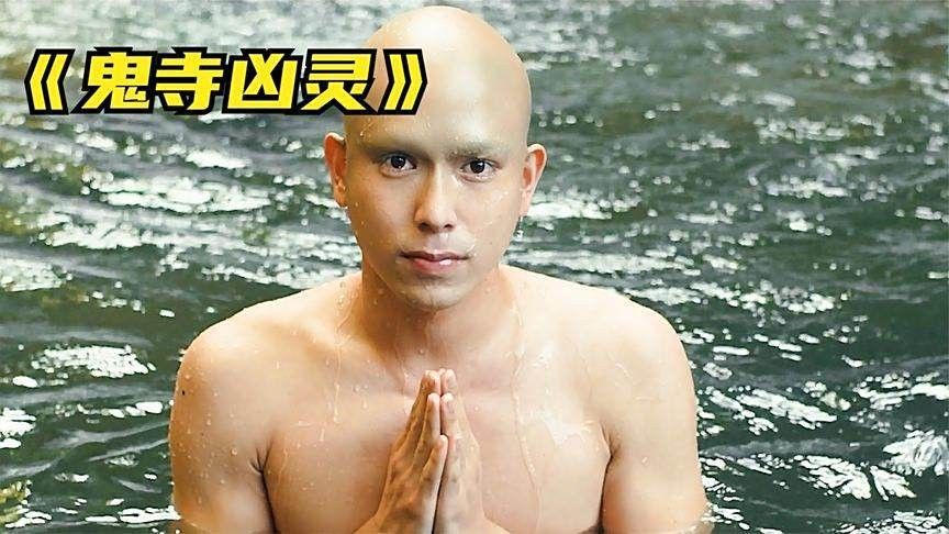 有沒有更多以金龍為主角的電影