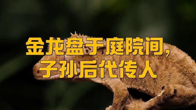 金龍裝飾風格的歷史起源