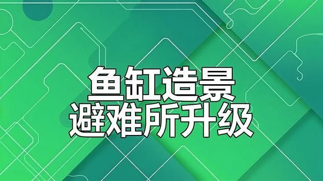 如何布置魚缸以提供足夠的遮蔽（0631威海自然棲息地打造9種創新魚缸造景技巧）