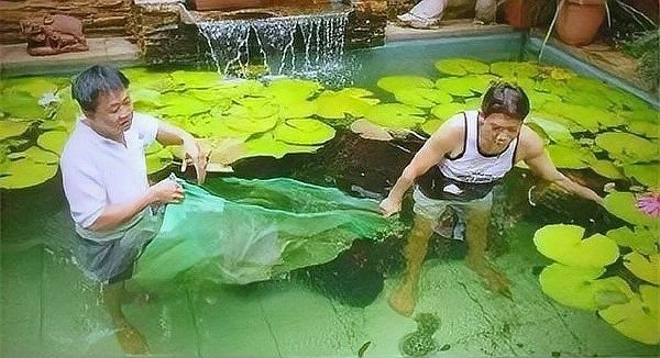 橫峰哪個水族館龍魚好？祥龍魚場龍魚