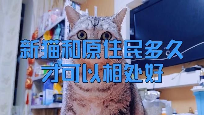 混養(yǎng)初期需要多久適應(yīng)？