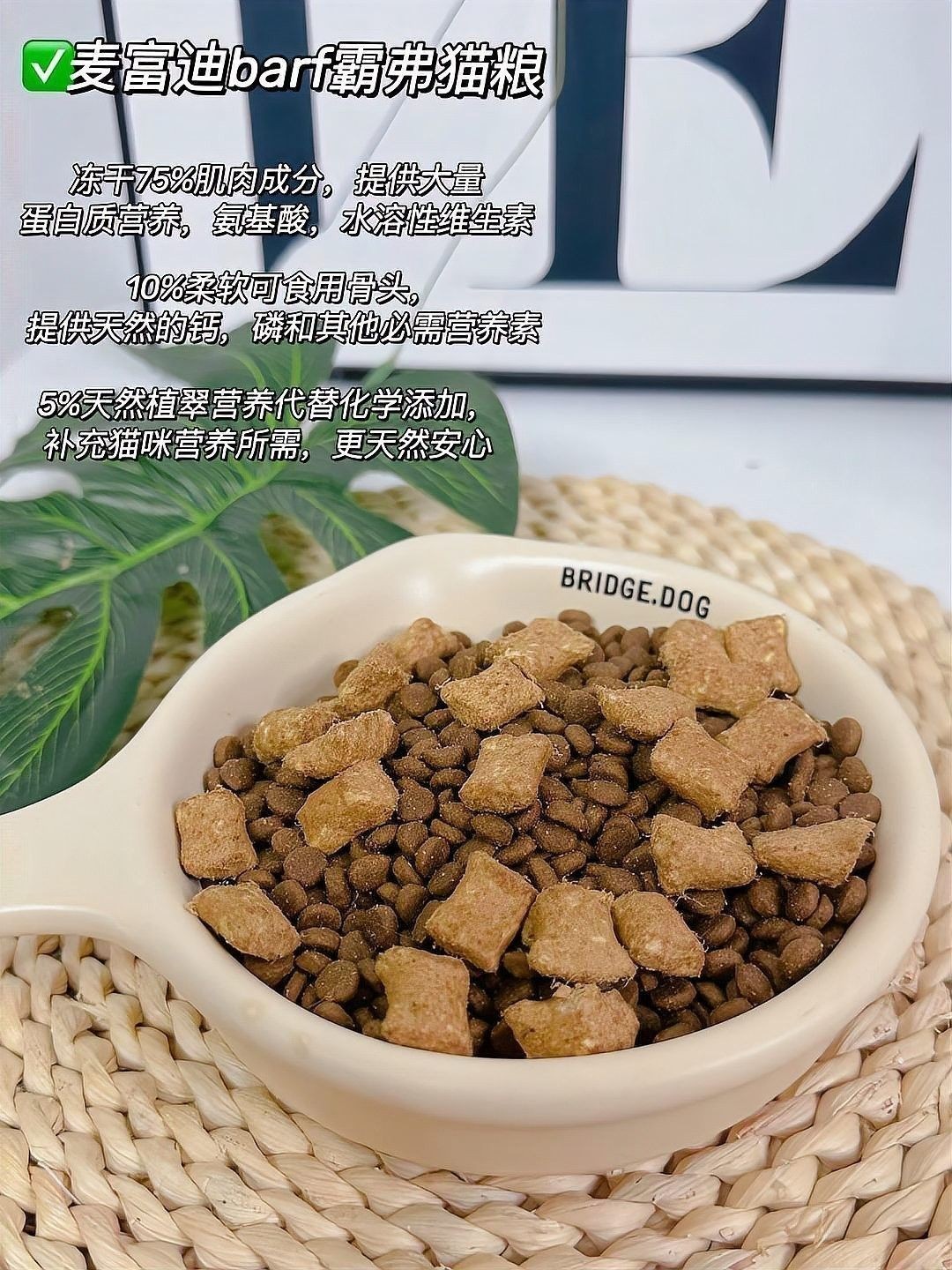 混養(yǎng)初期需要多久適應(yīng)？