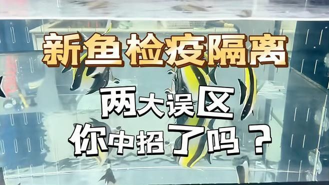 龍魚檢疫有哪些常見誤區