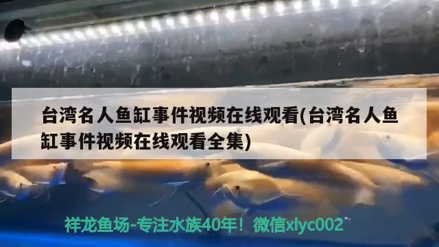 臺(tái)灣名人魚(yú)缸事件視頻在線觀看(臺(tái)灣名人魚(yú)缸事件視頻在線觀看全集)