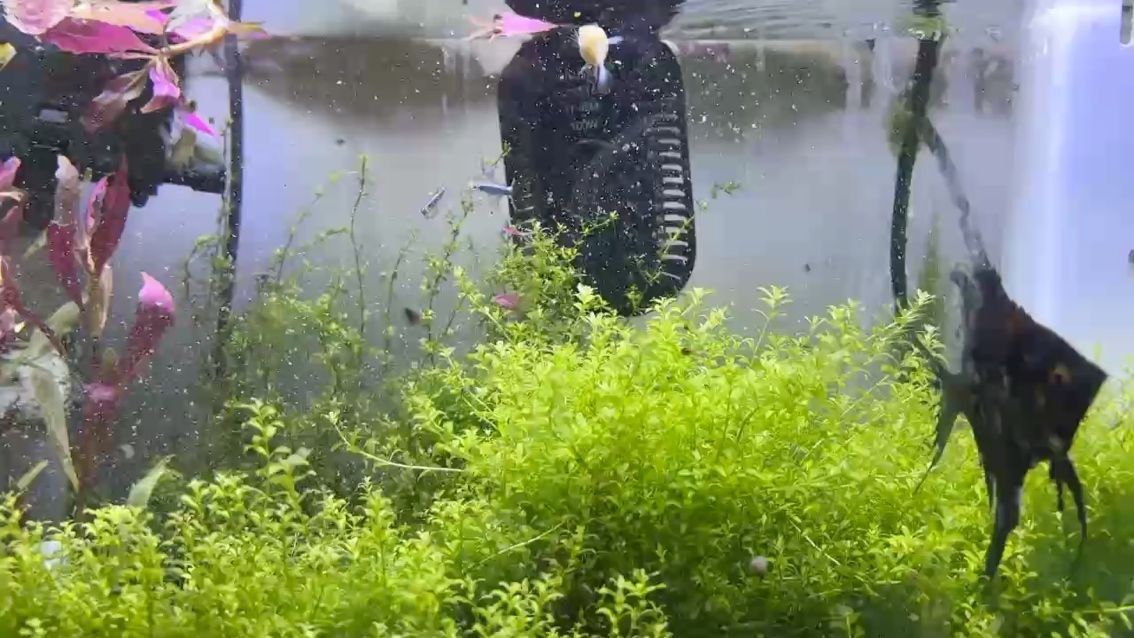 不錯的環境