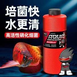 哪種藥物對龍魚爛身最便宜（哪種藥物對龍魚爛身最便宜？）