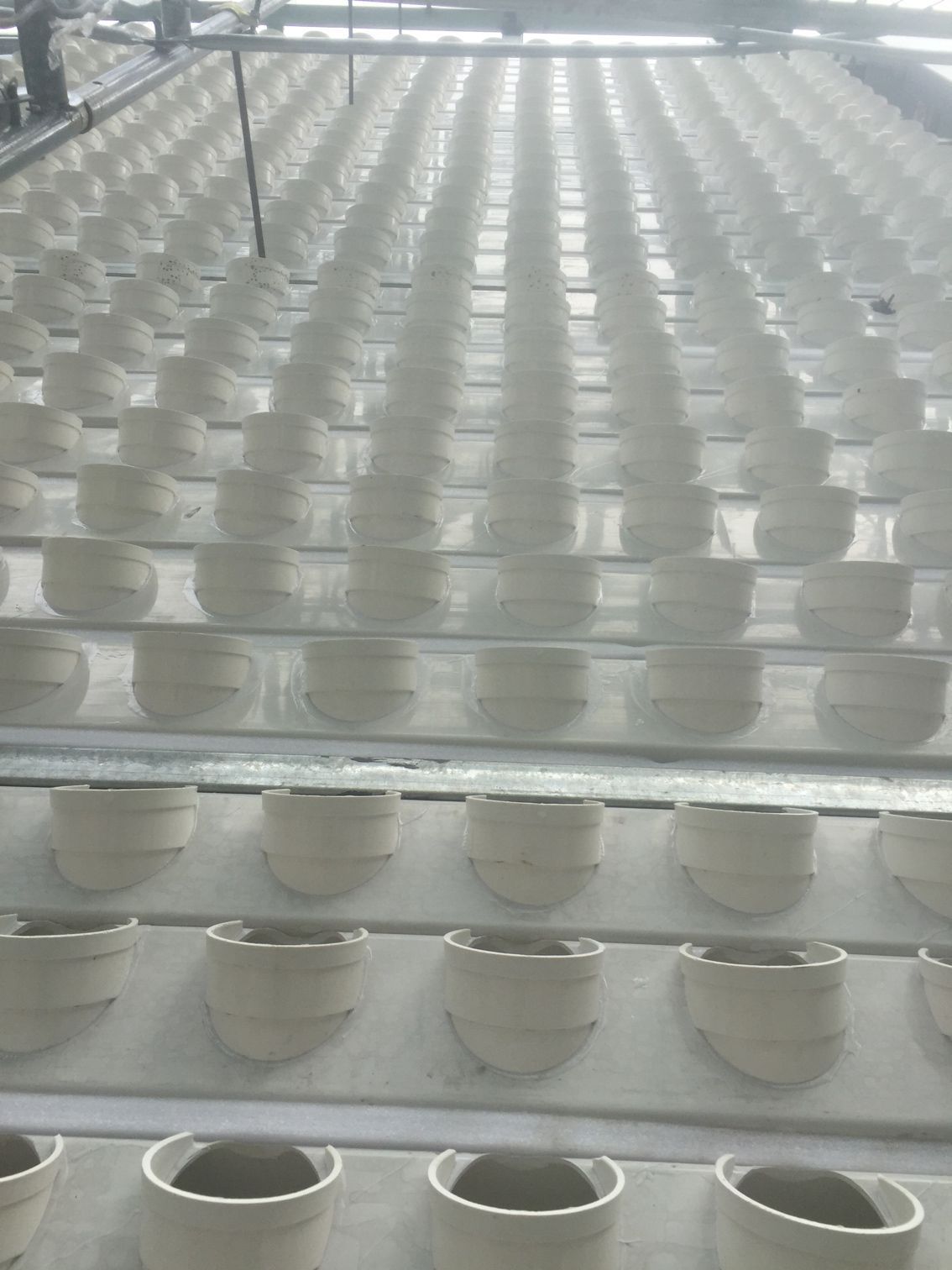 新奇綠墻以后魚池不用做過濾了