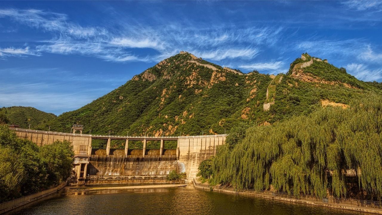 昭和錦鯉（日本國寶級的藝術(shù)和文化象征——昭和錦鯉）