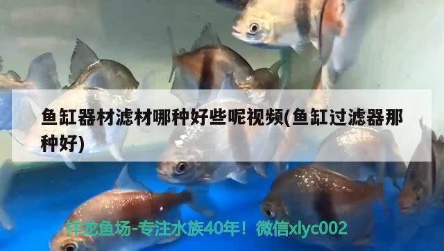 岳陽觀賞魚批發市場：汨羅市魚缸批發市場