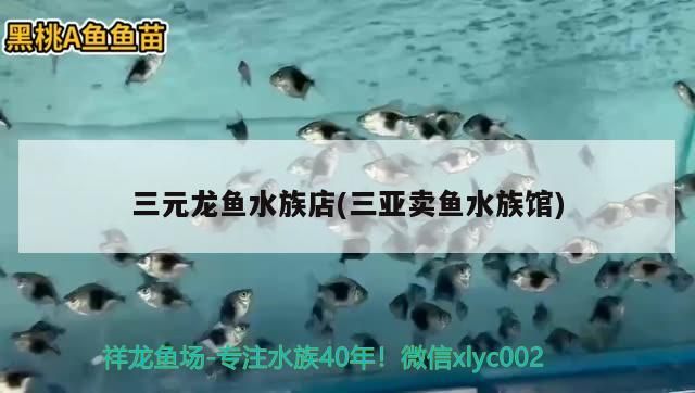 三元龍魚水族店(三亞賣魚水族館)
