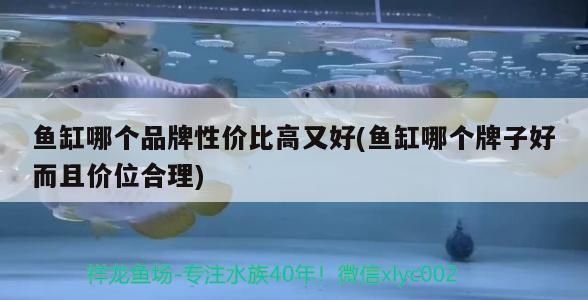魚缸哪個品牌性價比高又好(魚缸哪個牌子好而且價位合理)
