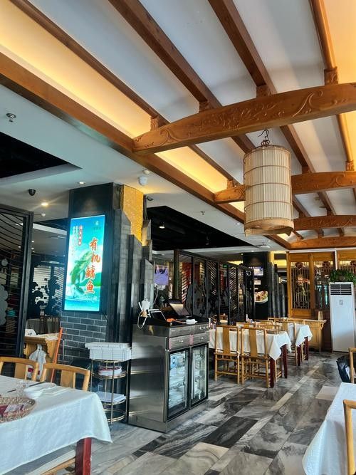 推薦一些其他城市的龍魚餐廳