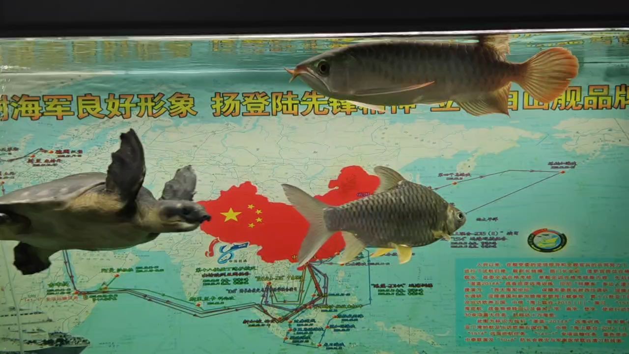 36天 辣椒紅龍（辣椒紅龍在農業與食品工業中的應用）
