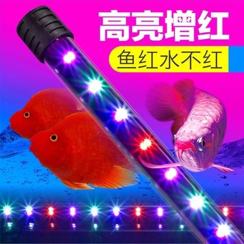 龍魚燈光價格范圍