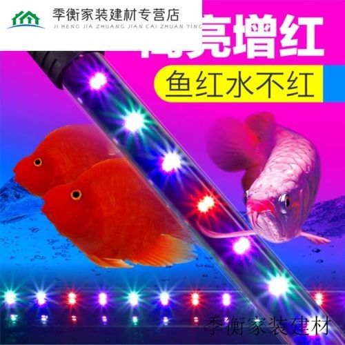 龍魚燈光價格范圍
