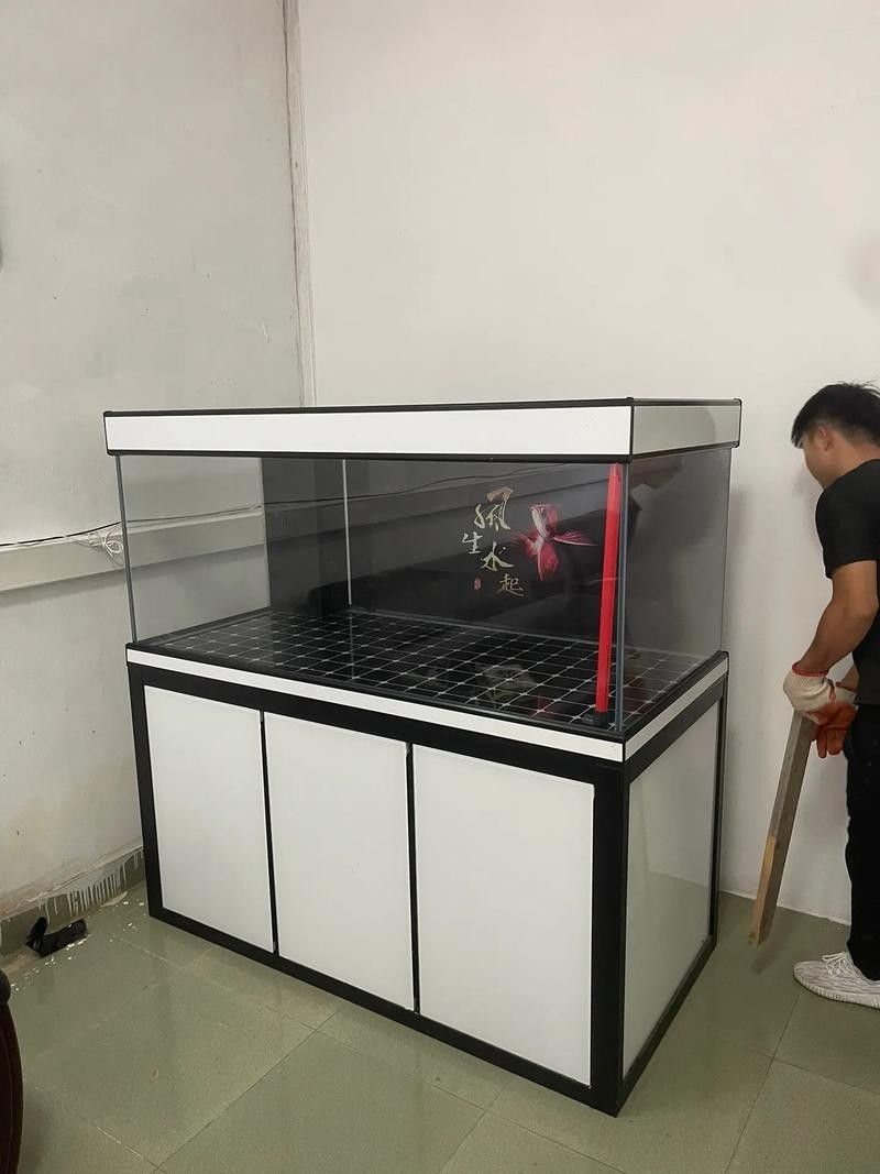 給我一些龍魚缸白底黑背景的設計靈感