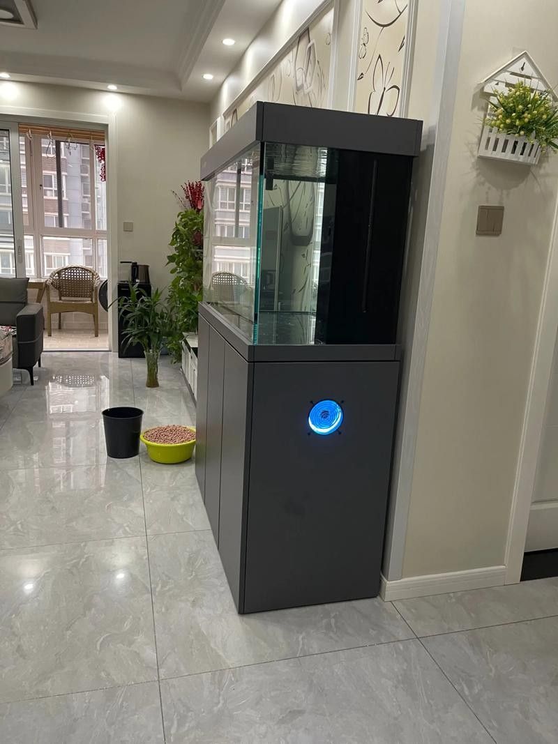 給我一些龍魚缸白底黑背景的設計靈感