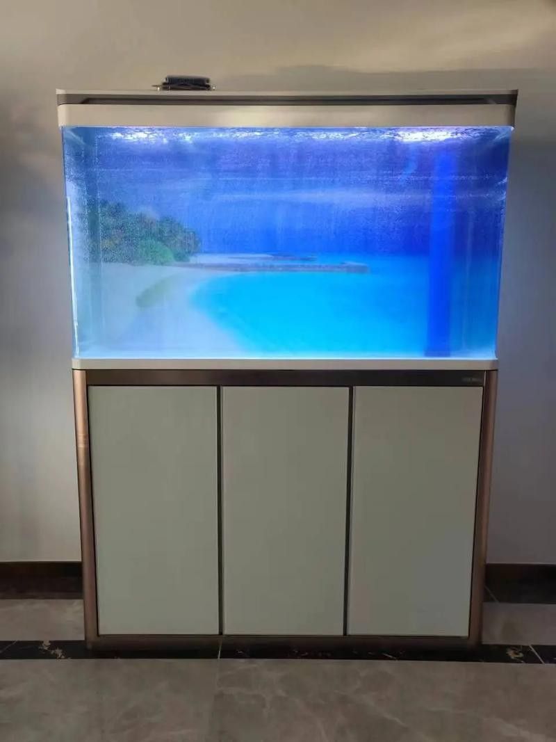 給我一些龍魚缸白底黑背景的設計靈感