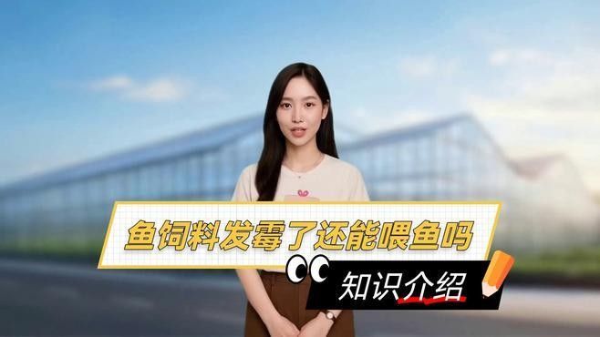 金龍魚飼料變質(zhì)后還能喂嗎？