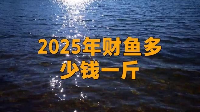 黑魚和龍魚哪個更有市場價值（黑魚和龍魚價格行情走勢()價格行情走勢）