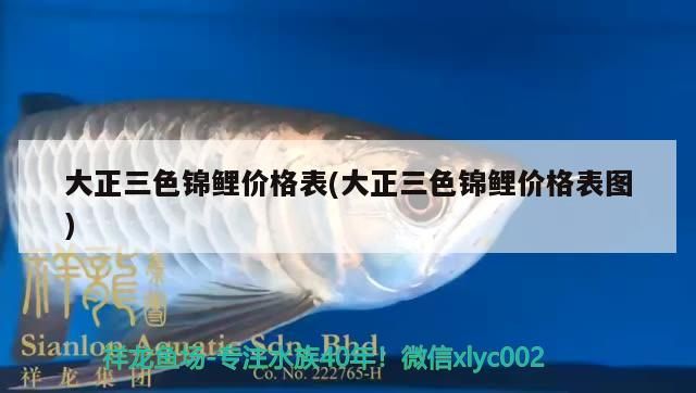 大正三色錦鯉價格表(大正三色錦鯉價格表圖) 大正三色錦鯉價格表(大正三色錦鯉價格表圖) 觀賞魚百科