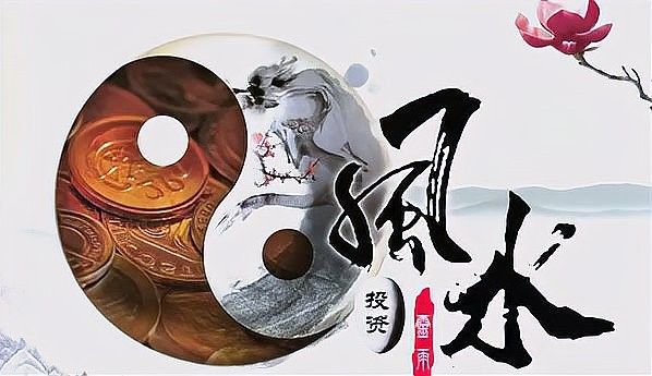 九龍魚混養(yǎng)的最佳數(shù)量是多少（九龍魚混養(yǎng)的最佳數(shù)量取決于多種因素，龍魚混養(yǎng)大揭秘）