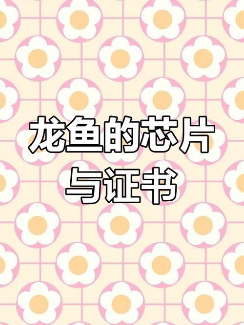 如何掃描驗證金龍魚芯片？