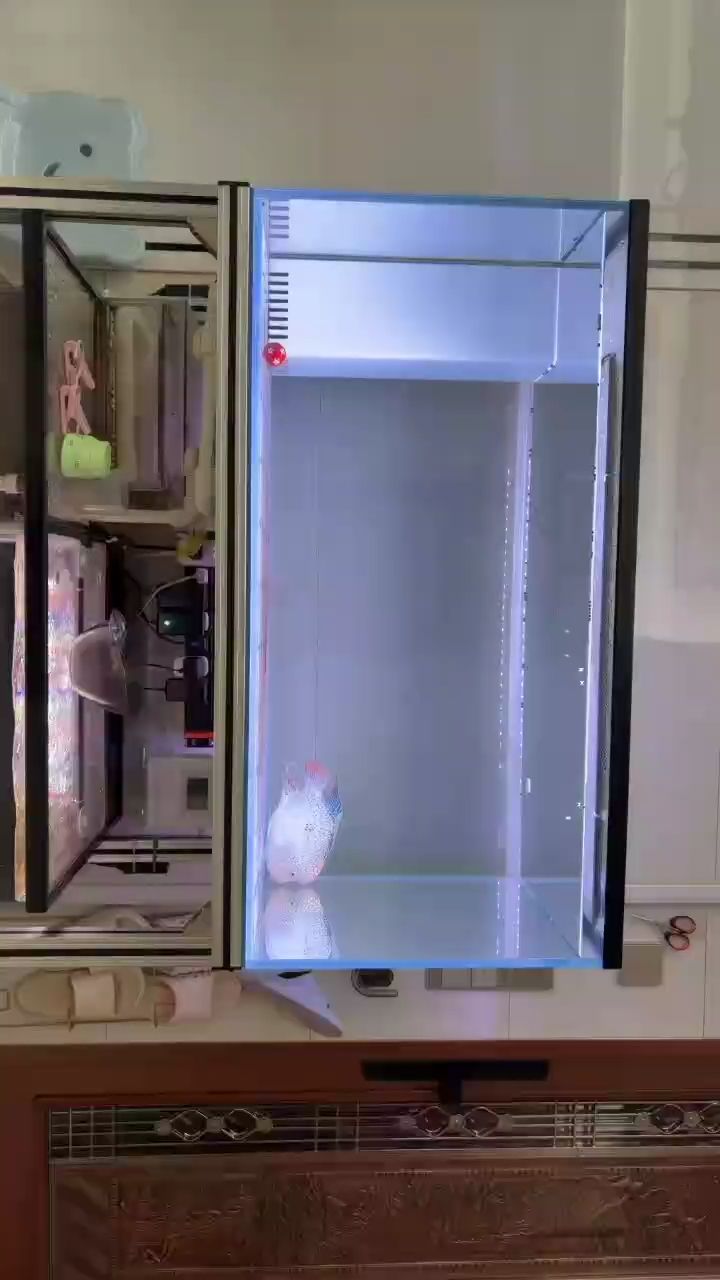 換水時間到了