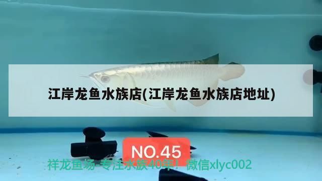 江岸龍魚水族店(江岸龍魚水族店地址)