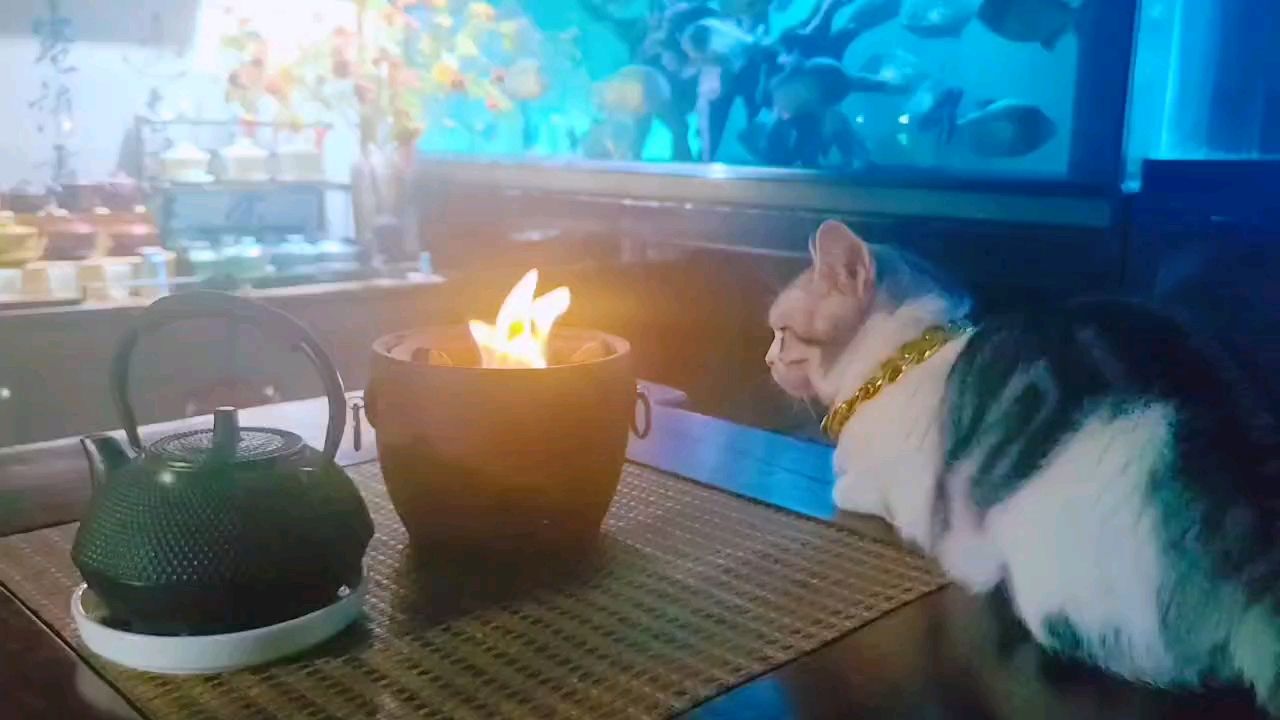 下雨的周末，最省電的一年（下雨的周末，如何實現(xiàn)最省電的生活方式）