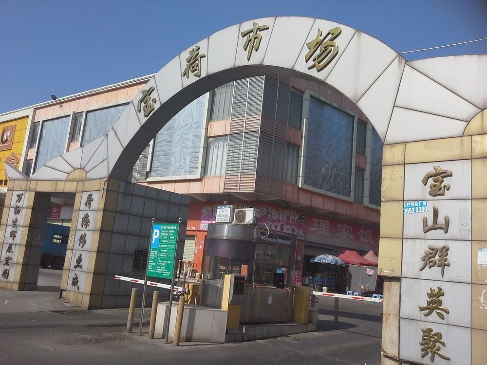 深圳的龍魚批發市場在哪里