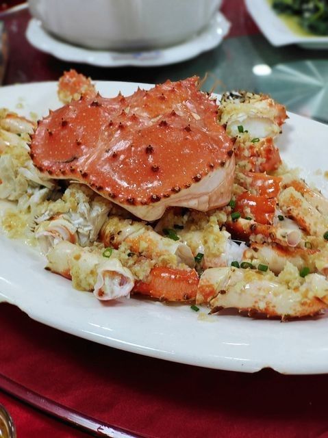 深圳的龍魚批發市場在哪里