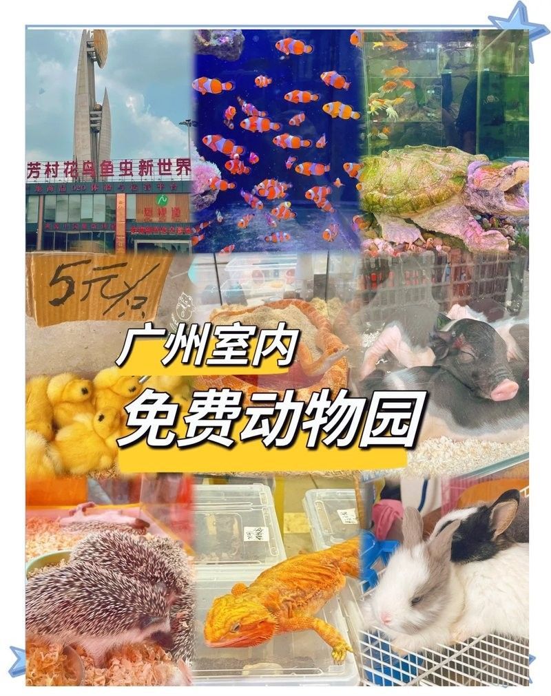 廣州龍魚(yú)之家的營(yíng)業(yè)時(shí)間是？（廣州龍魚(yú)之家水族館的營(yíng)業(yè)時(shí)間是多久？）