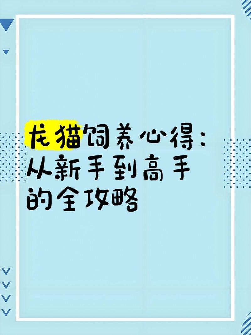 龍貓多久繁殖一次