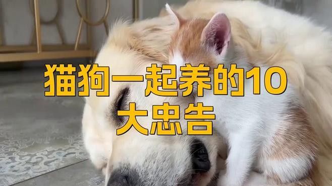 混養時如何避免打斗？（養寵物時如何避免打斗）