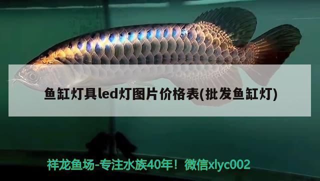 魚缸燈具led燈圖片價格表(批發魚缸燈)