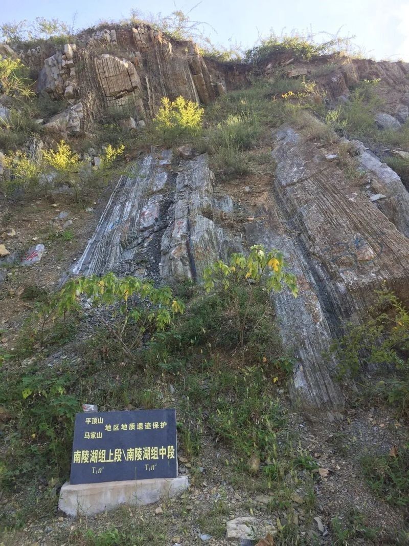 巢湖龍化石是如何被發現的？（巢湖龍化石的發現）