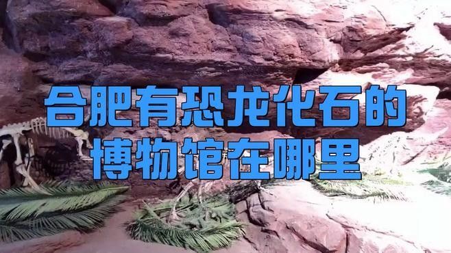 巢湖龍化石是如何被發現的？（巢湖龍化石的發現）