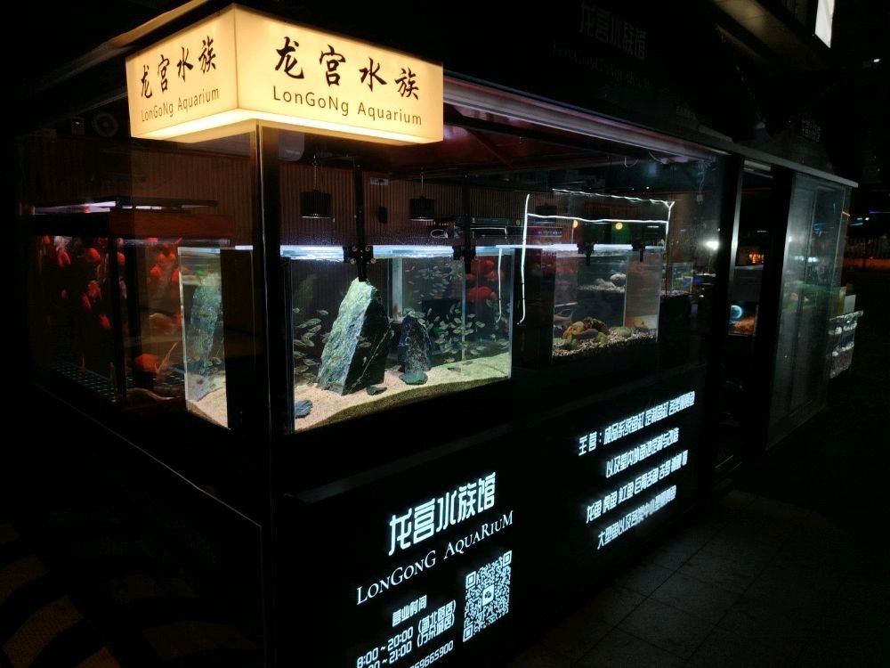 嘉興還有哪些水族市場