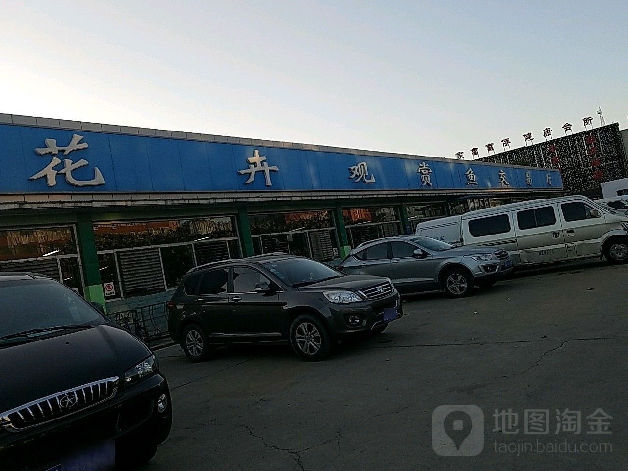 大發花鳥魚市場的聯系方式是什么？（北京大發花鳥魚市場的聯系方式旨在提供關于大發花鳥魚市場的聯系信息） 大發花鳥魚市場的聯系方式是什么？（北京大發花鳥魚市場的聯系方式旨在提供關于大發花鳥魚市場的聯系信息） 龍魚百科 第3張