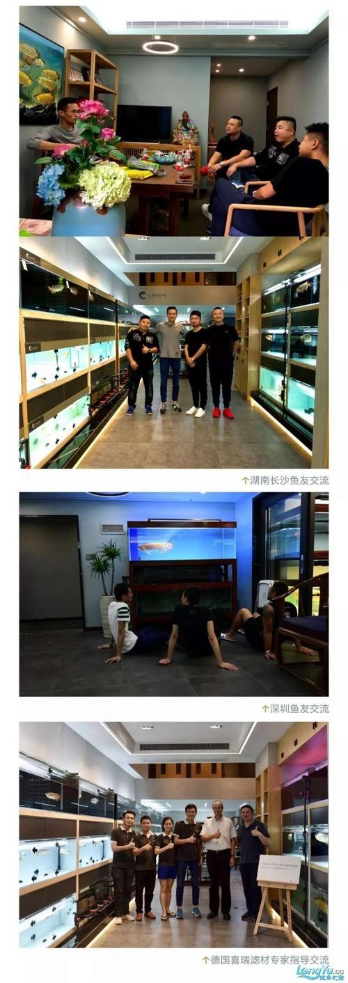 還有其他內(nèi)江龍魚專賣店嗎