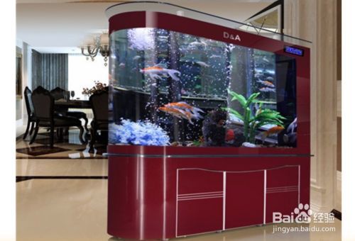 高端魚缸照明系統選擇指南：如何選擇高端魚缸照明系統