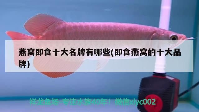 燕窩即食十大名牌有哪些(即食燕窩的十大品牌)