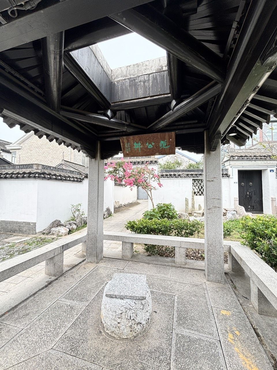 紅龍魚(yú)不吃食怎么辦？（紅龍魚(yú)不吃食怎么辦，）
