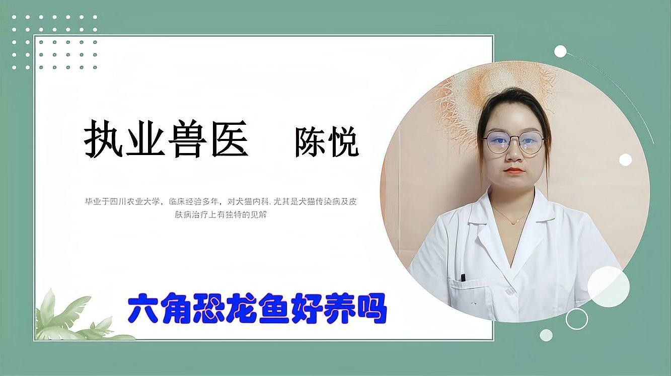 人工繁育觀賞恐龍魚需要哪些手續