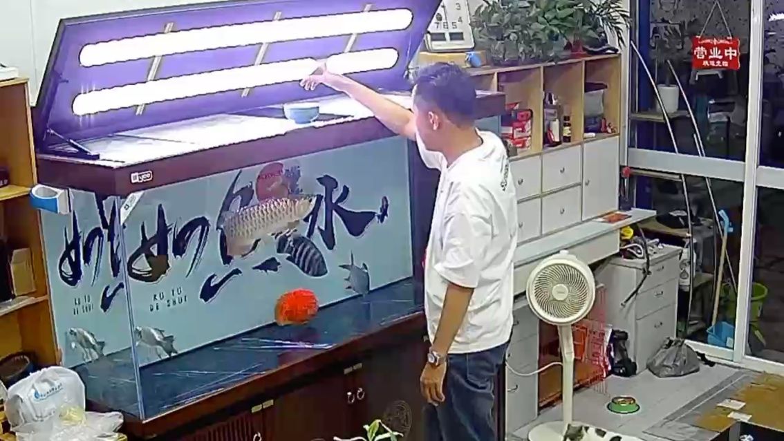 day、335 我也發一段喂食的視頻（335天喂食實驗）