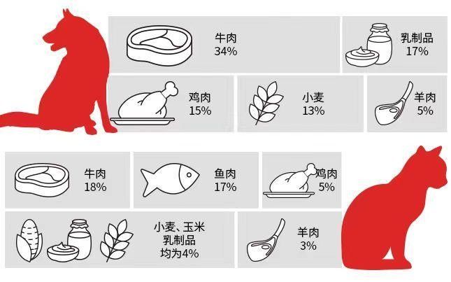 興業(yè)龍魚的價(jià)格是多少？（興業(yè)龍魚市場價(jià)格和風(fēng)水寓意兩個(gè)維度為你詳細(xì)解析）