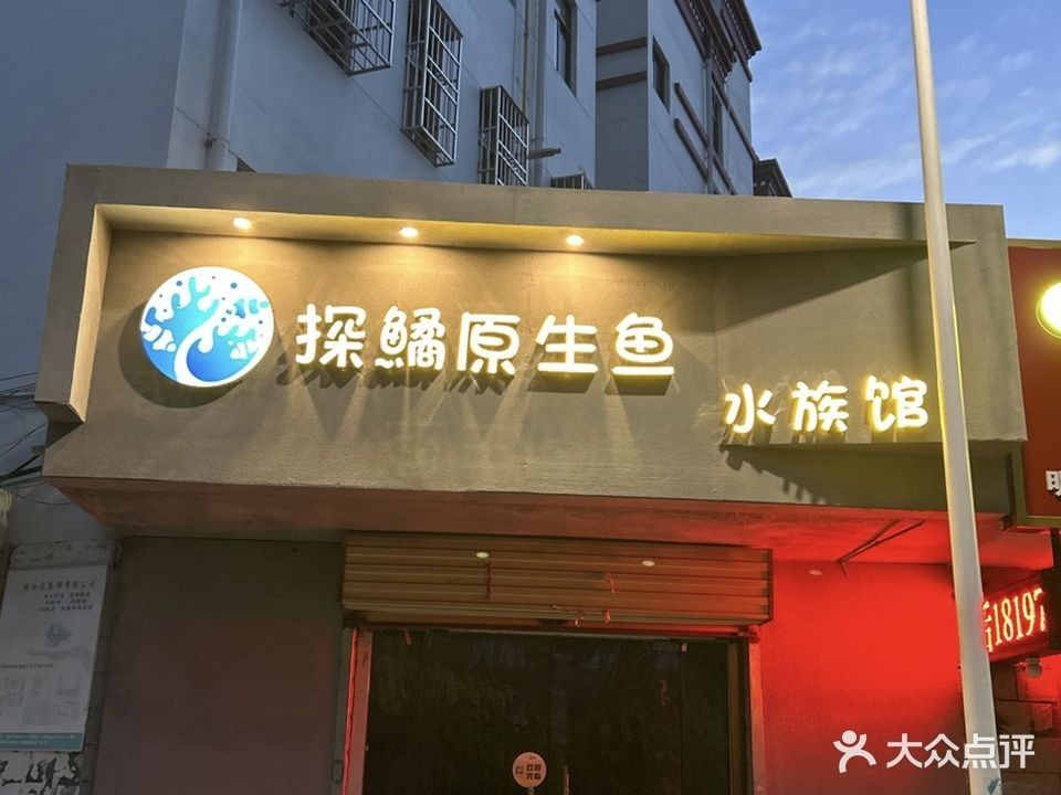 達孜哪個水族館龍魚好？祥龍魚場龍魚（孜水族館中的祥龍魚場）