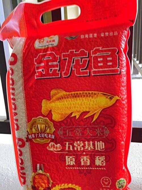 如何鑒別紅龍魚的血統，如何精準鑒別紅龍魚的血統 如何鑒別紅龍魚的血統，如何精準鑒別紅龍魚的血統 龍魚百科 第2張