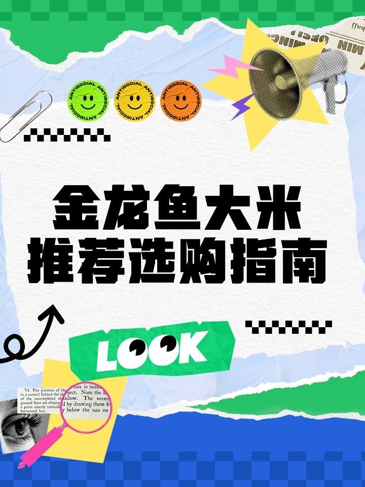 金龍魚原香稻有哪些口感評價